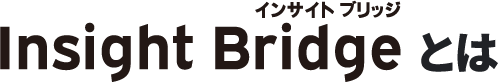 Insight Bridgeとは