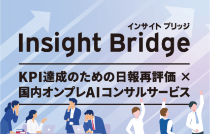 Insight Bridge
