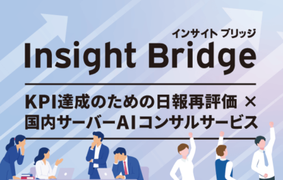 Insight Bridge